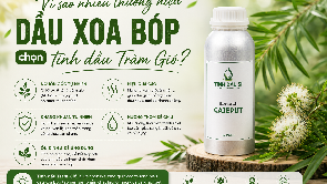 Vì sao nhiều thương hiệu dầu xoa bóp chọn tinh dầu Tràm Gió?